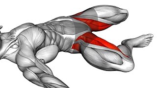 Best Exercise for Overall Strong Pelvic Muscle