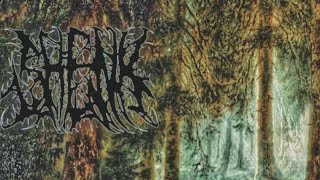 Shenk - Let the Waters Guide You [EP] 2023