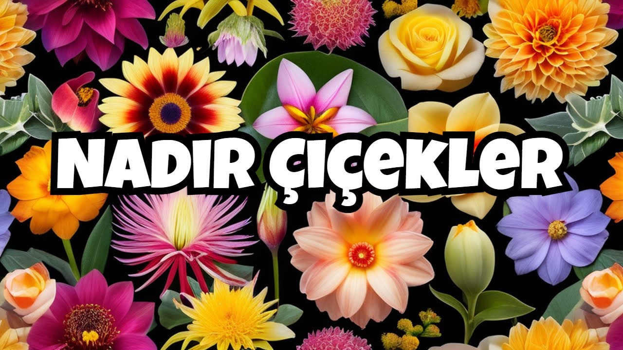 ТОП-10 самых редких цветов