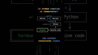 Python Compiled or Interpreted? #compiler #interpreter #python #programming #computerscience