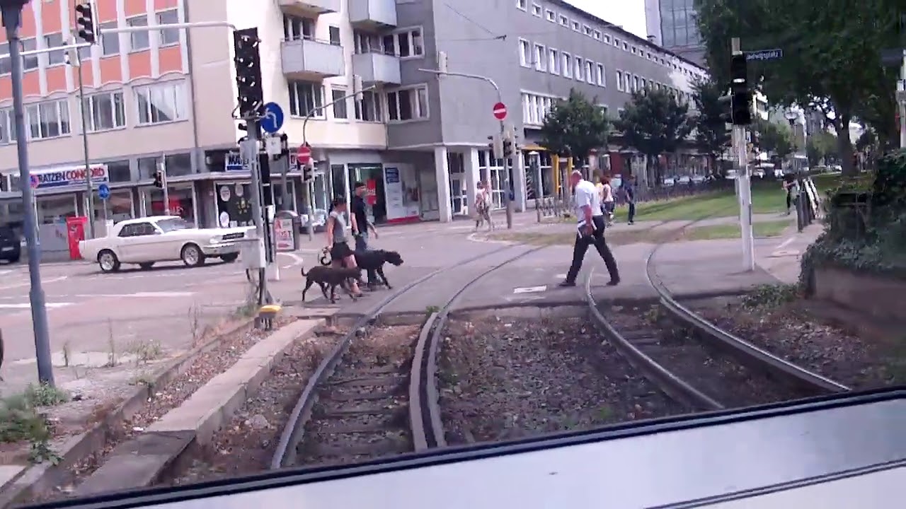 RNV Ludwigshafen Mannheim Straßenbahn Linie 6 von Fichte straße Ebert park in Ludwigshafen Friesenhe