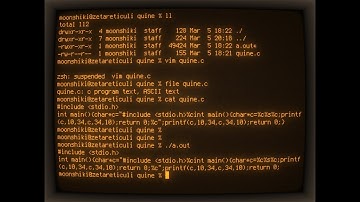 A classic C programming language quine program