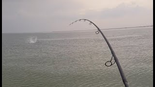 Saltwater Fishing Binge Day 2 and 3 Flounder Bluefish Stripers