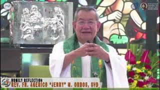 𝗧𝗵𝗲 𝗟𝗔𝗡𝗚𝗨𝗔𝗚𝗘 𝗼𝗳 𝗟𝗢𝗩𝗘 | HOMILY 13 July 2025 with Fr. Jerry | 15th Sunday in Ordinary Time
