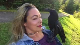 Walk in the Park with my CROW Friend