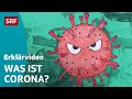 Coronavirus für Kinder erklärt | SRF Kids – Kindervideos