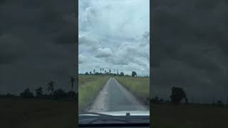 Car Plunges Into Rice Paddy From Narrow Road