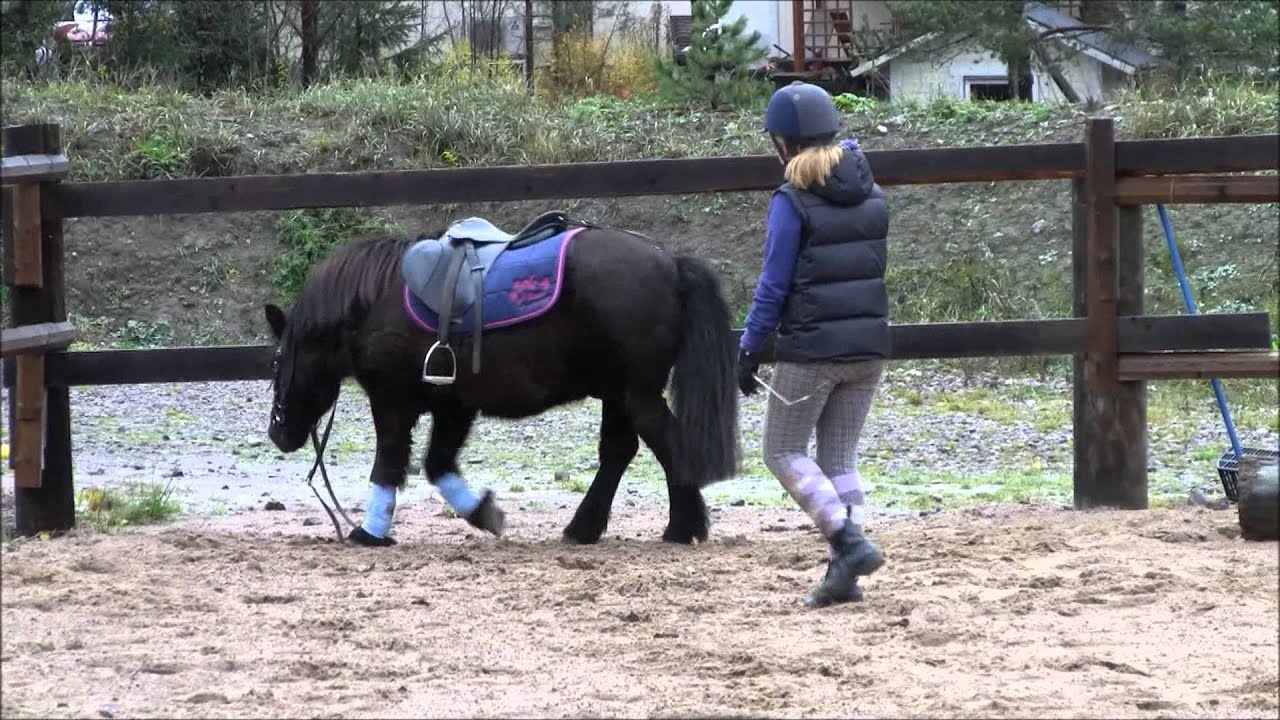 ~ energinen poni [kooste 22.10]