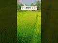 👳 किसान 🌾🎊