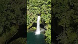 #newzealand  #falls #shorts