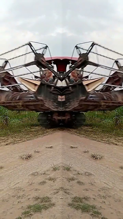 mesin panen padi ( treser) \\ tenk sawah #shorts #mesinpanenpadi