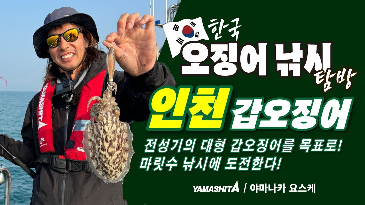 야마나카 요스케의 한국오징어낚시 탐방 ~성수기 시즌 인천 갑오징어낚시~