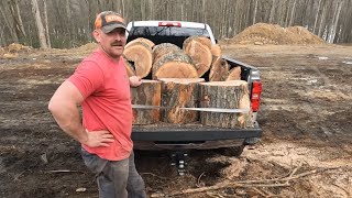 Free RED OAK!!!!! Picking through log landing scraps.