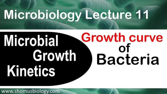 Microbiology lecture 10  bacterial culture media classification types and  uses 