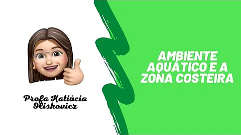 Quais as principais características da zona costeira?