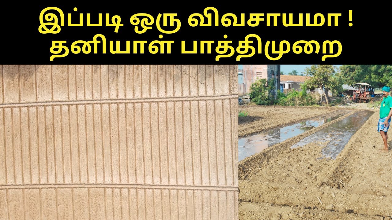 தனியாள் பாத்திமுறை வியக்கும் விவசாயம்💪| watering system for plants- verukku neer
