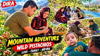 ❤️ AMIN & SAMIRA’S SWEET MOUNTAIN ADVENTUREWild Pistachios, Beautiful Nature & A Surprise Visit! 🌿🏞️