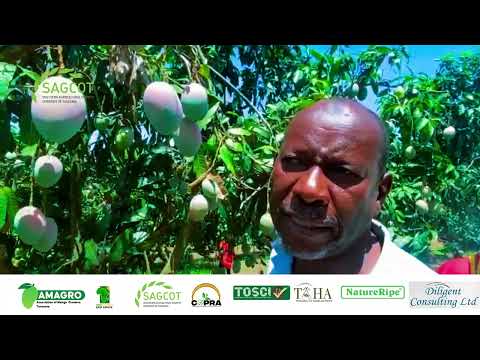 Utajiri Uliojificha Zao La Embe Ndio Habari Mpya Katika Sekta Ya Kilimo