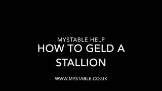 MyStable Help: How to geld a stallion screenshot 5