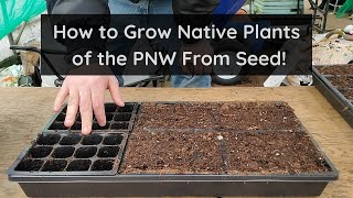 How to Propagate Native Plants of the PNW From Seed!