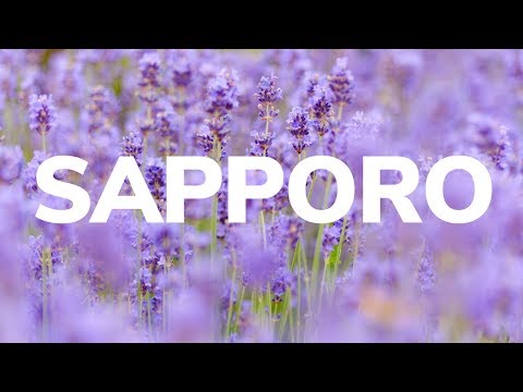 Best Hotels For A Great Stay In Sapporo, Hokkaido