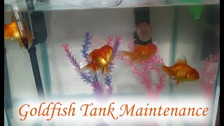 How To Clean Goldfish Tank | Goldfish Tank Maintenance | Keep Goldfish Healthy | Goldfish Care screenshot 4