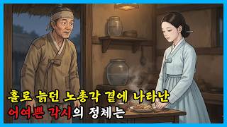 마흔 넘도록 홀로 살던 노총각 집에 매일 찾아오던 여인의 비밀 | 야담 옛날이야기 민담 전설 설화