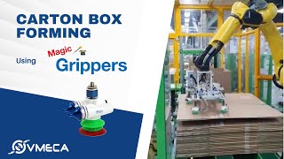 Efficient Carton Erecting Solution with Vacuum Gripper | Erecting Line | Magic Gripper (MC20D)
