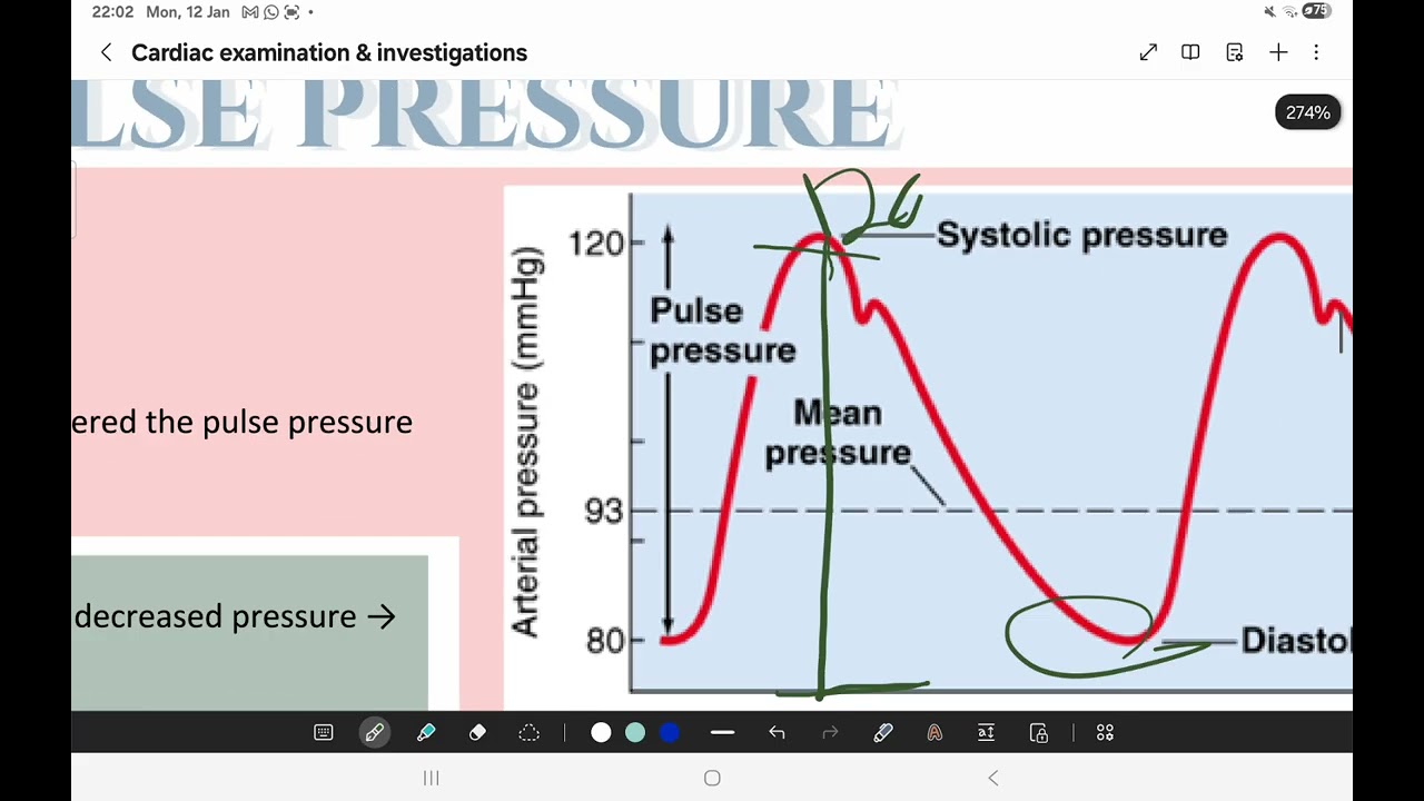 P2 Cardiac examination an̈d investigation 🔺️⛔️Medical student is screaming