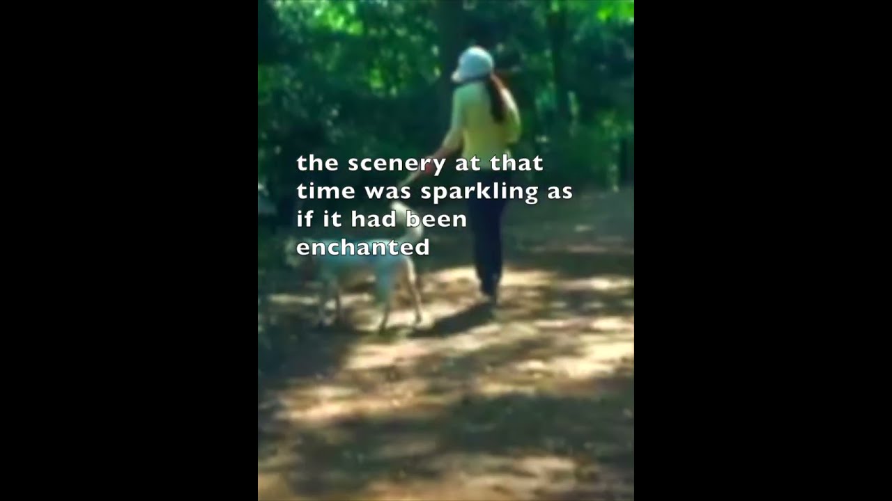 Rainbow Bridge Verse1 Shorts