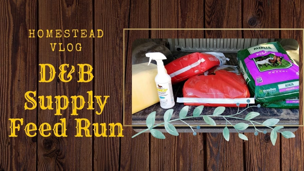 348 D&B Supply Feed & Supply Run YouTube