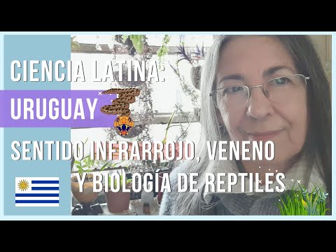 Sentido infrarrojo, veneno y maravillas de biología de reptiles. Melitta Meneghel | Ciencia Latina