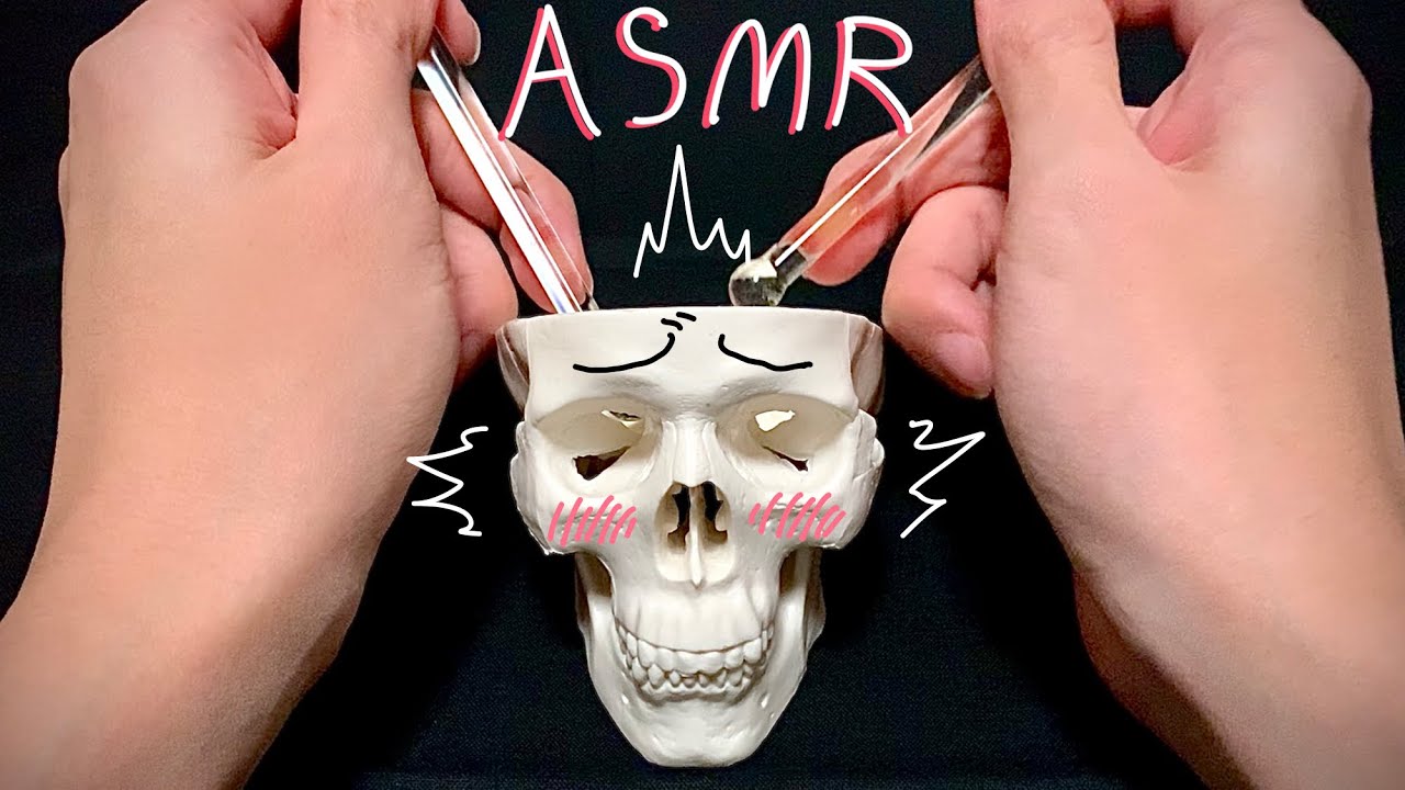 【ASMR】あなたの脳と繋がった不思議な頭蓋骨、脳マッサージと脳かき混ぜ、耳かき音など/brain massage,ear massage,relaxing,trigger