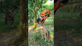 A tiger and Two leopards attack a boy in forest 🐅🐯#youtubeshorts #foryou #wildlife #viral #brazil