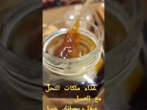 غذاء ملكات النحل غذاء ملكات النحل هرمونات البنات عسل طبيعي لذه عسل لذه زواج عروسه