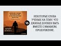 16. Некоторые слова ученых о том, что джихад должен быть вместе с имамом. Сирадж Абу Тальха.