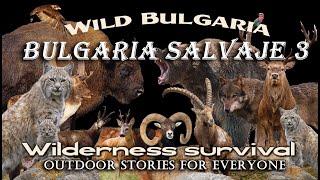 🍂😱Bulgaria salvaje 3: :🦨 Supervivencia en el desierto 🤖💯(IA 100% narración y traducción.)