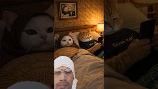 Download Lagu gara gara si oyen si markonah jadi marah #cat #tipeketawa #funny #cat #shorts #kucinglucu #kucing MP3