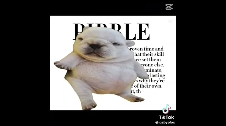 I AM PIBBLE #pibble #dog #edit #funny #memes #viral