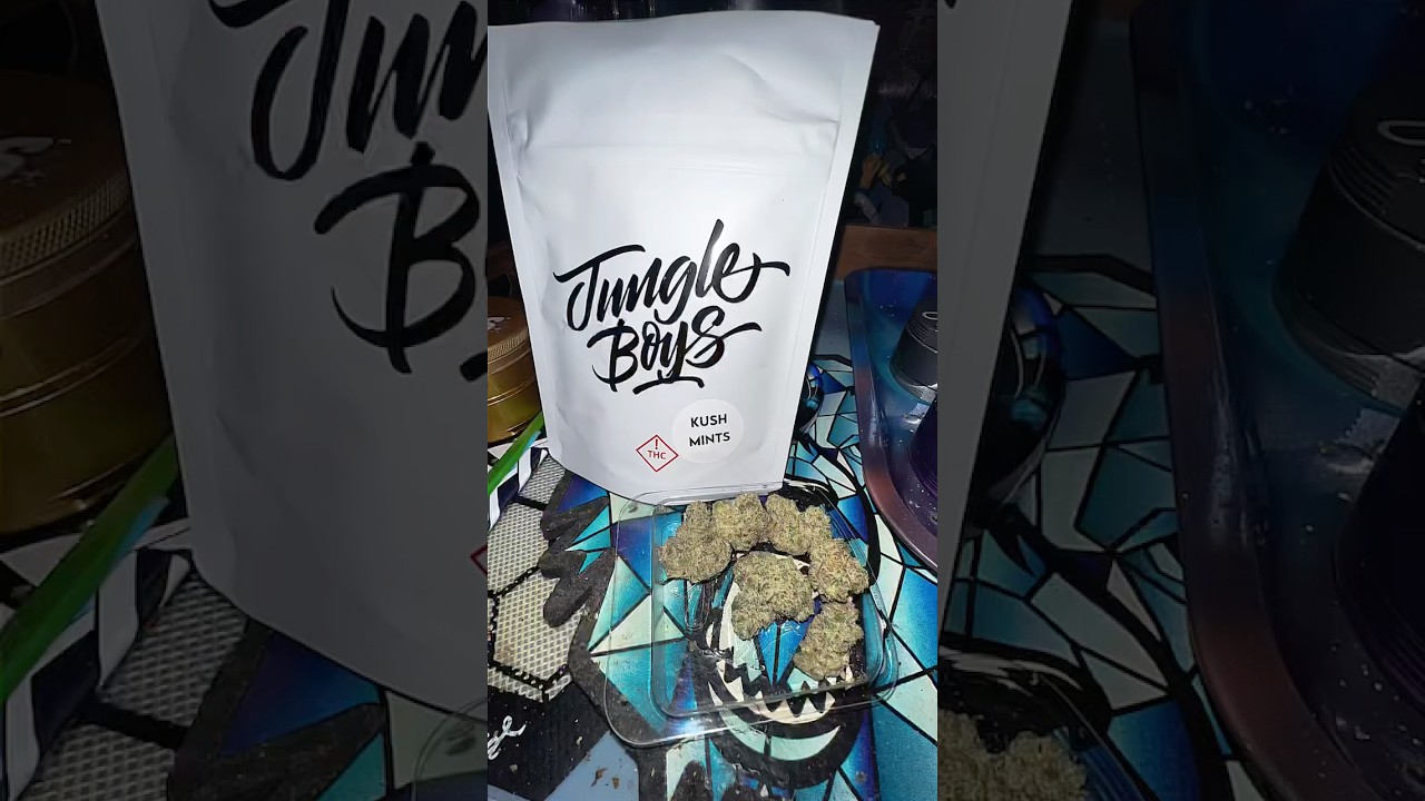 Jungle Boys🎄Kush Mints❄️Review 