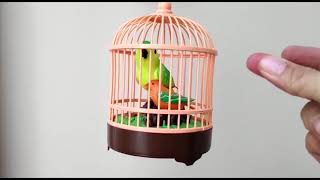 HEARTFUL BIRD MAINAN BURUNG BERNYANYI DALAM SANGKAR MURAH