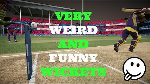 THE MOST WEIRD AND FUNNY WICKETS IN CRICKET - DBC 17 EDITION MUST WATCH !!