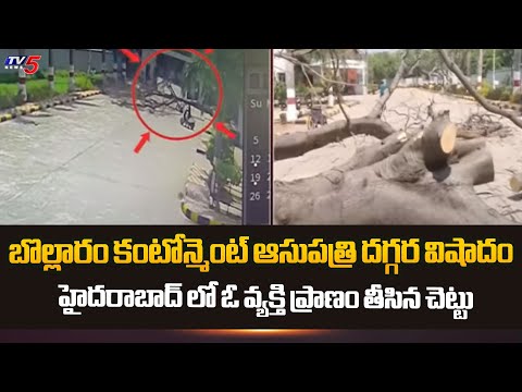 ఓ వ్యక్తి ప్రాణం తీసిన చెట్టు  Tree Collapsed On Public In Cantonment Hospital | Bolarum | TV5 News - TV5NEWS