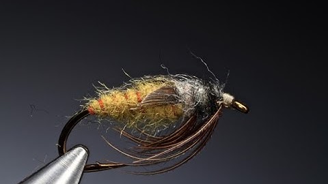 Tying a weighted caddis/sedge pupa with Barry Ord Clarke