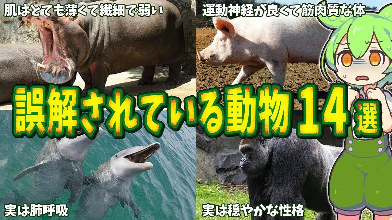 生物の謎７選！実は勘違いされている動物【総集編】