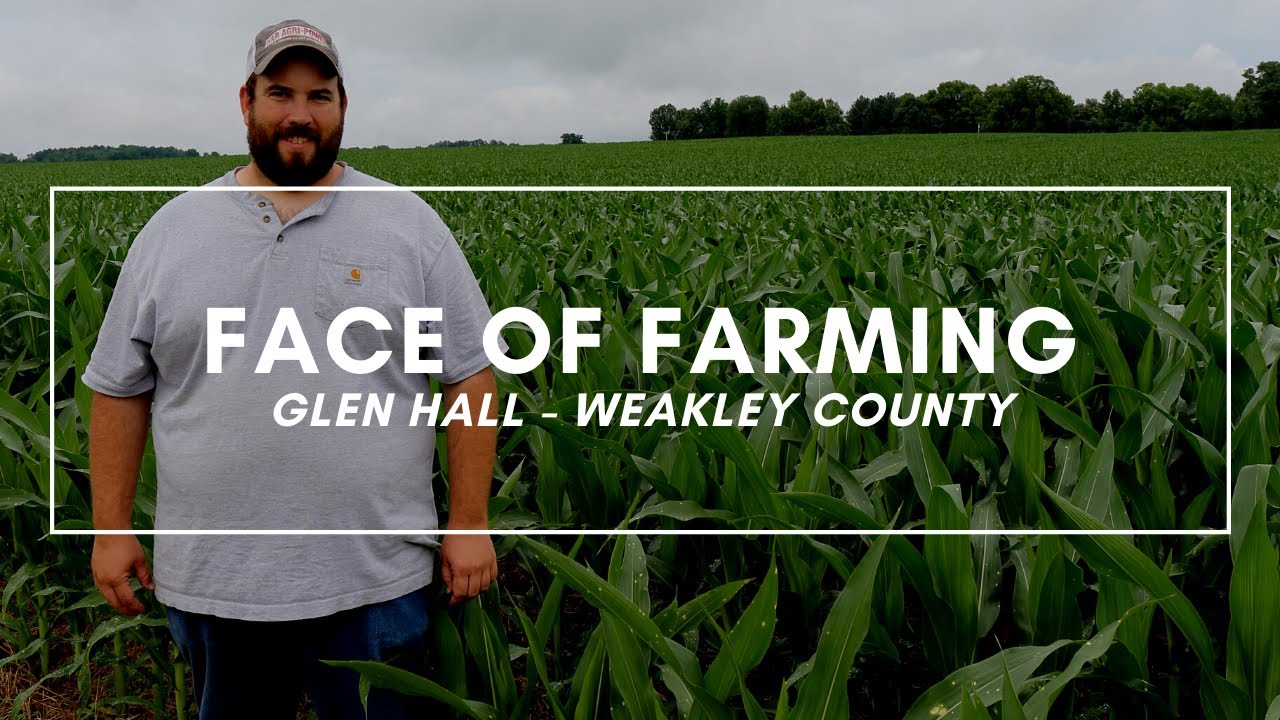 Meet Glen Hall from Weakley County
