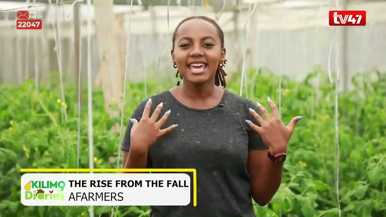 KILIMO DIARIES| Noah Nasiali forced to sell one cabbage at 4 bob