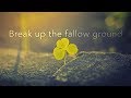 Break Up The Fallow Ground David Wilkerson mp3
