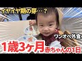 【1歳3ヶ月ルーティン】イヤイヤ期到来か!?成長真っ盛りな赤ちゃんのリアルな1日