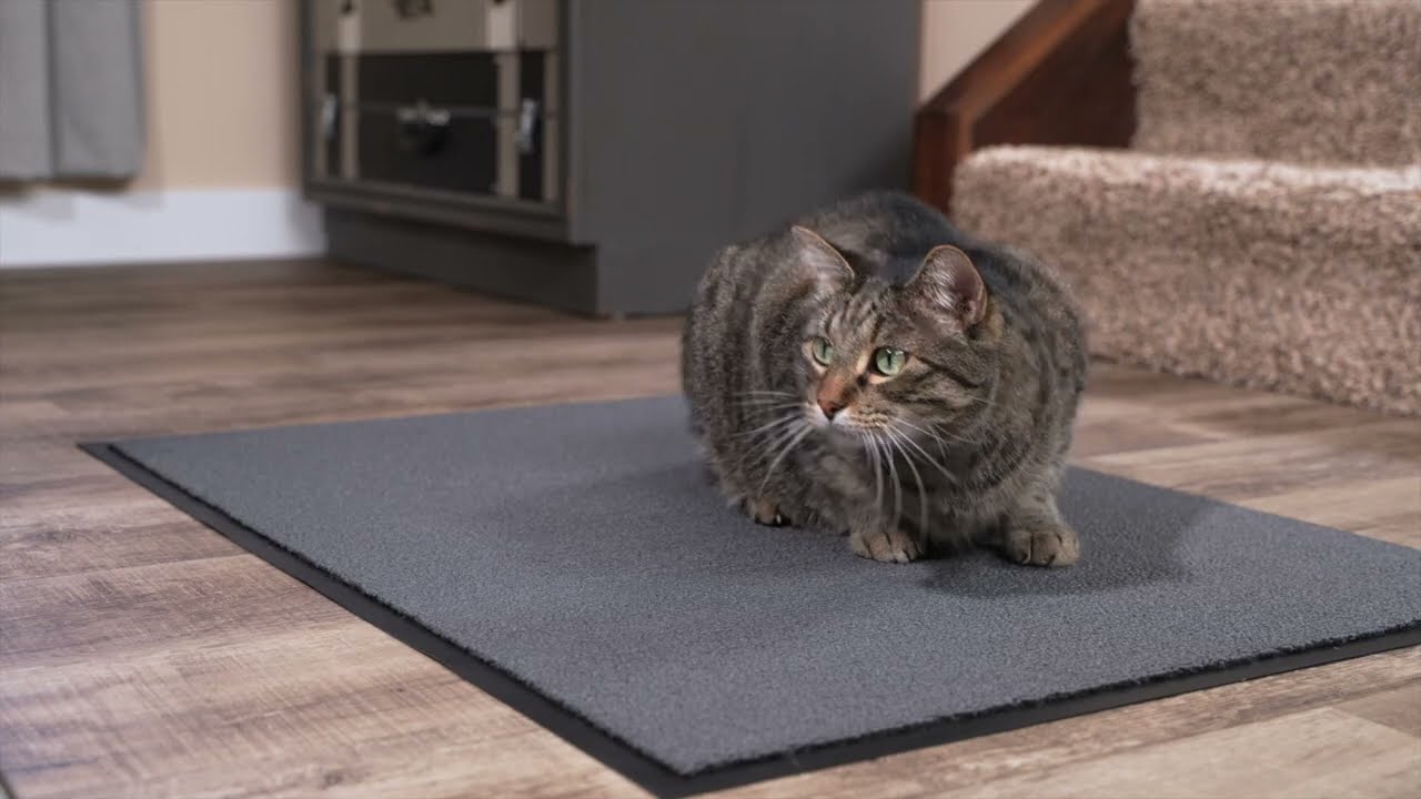 Drying & Cleaning Entrance Mat (NoTrax Ovation 141)